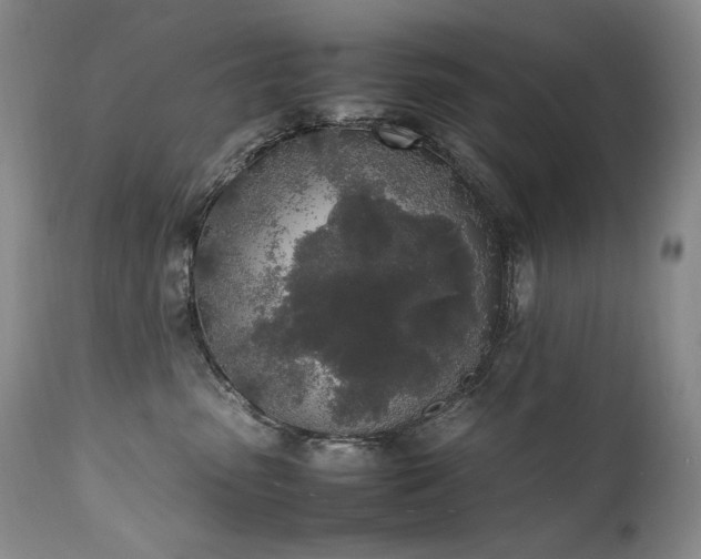 X0000111450475200907131333