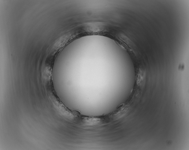X0000111450476200907131333