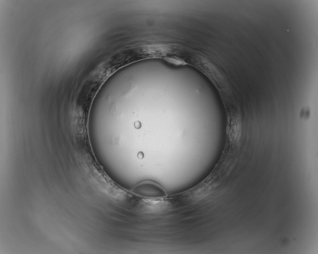 X0000111450477200907131333