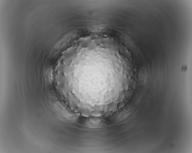 X0000111450479200907131333