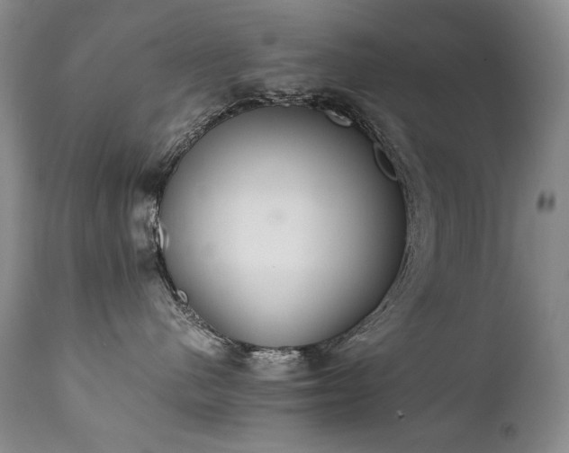 X0000111450480200907131333