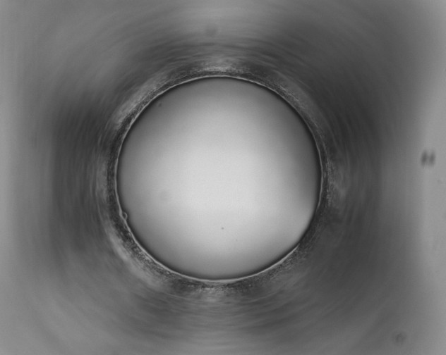 X0000111450482200907131332