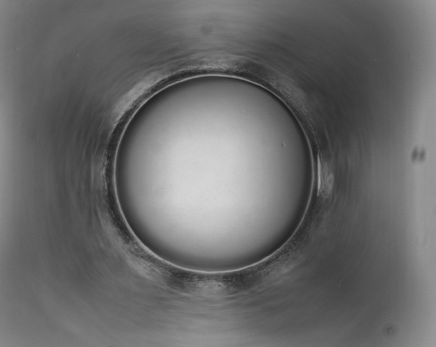 X0000111450483200907131332
