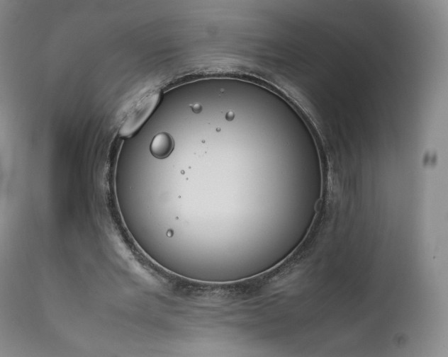 X0000111450485200907131332