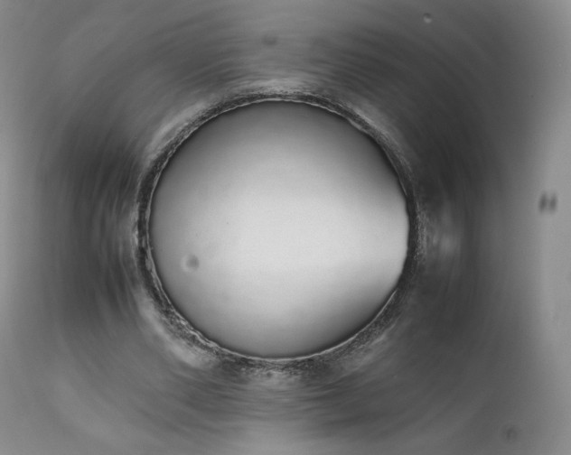 X0000111450486200907131332