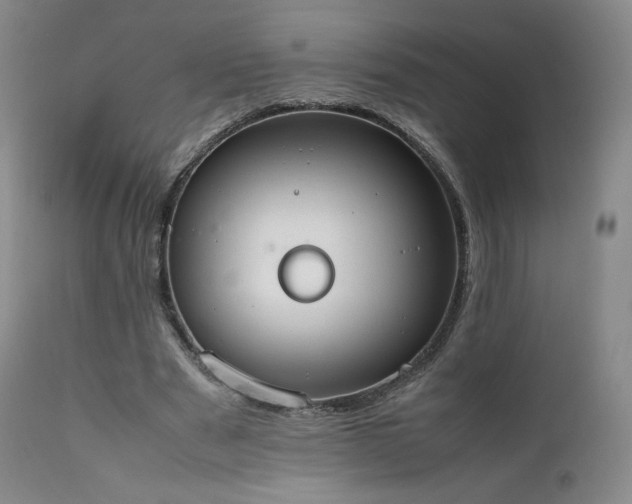 X0000111450489200907131332