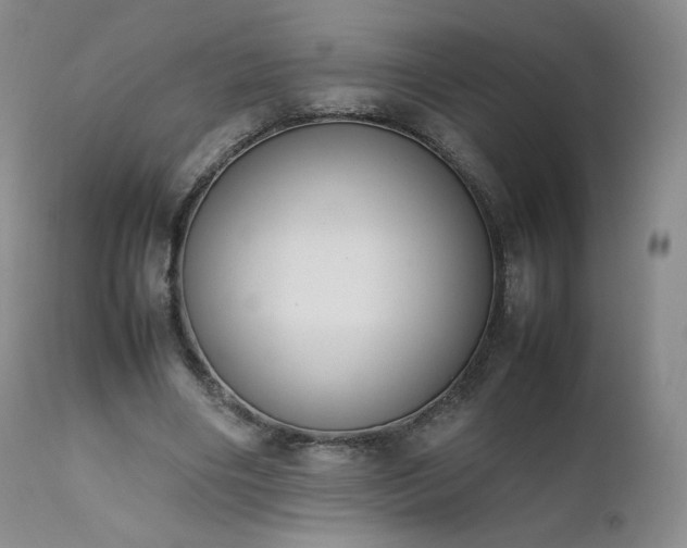 X0000111450490200907131332