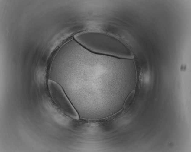 X0000111450492200907131332