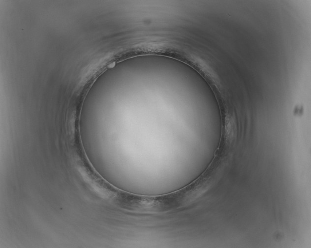 X0000111450493200907131332