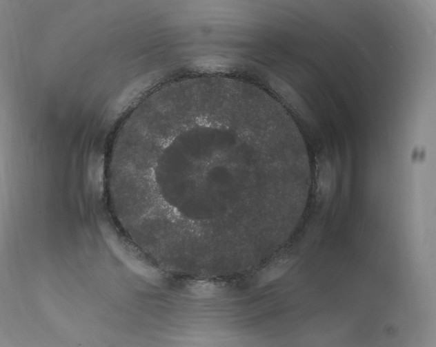 X0000111450494200907131332