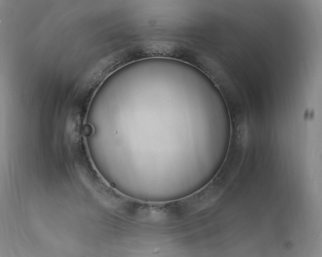 X0000111450498200907131332