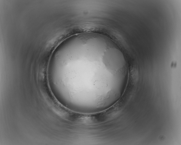 X0000111450499200907131332