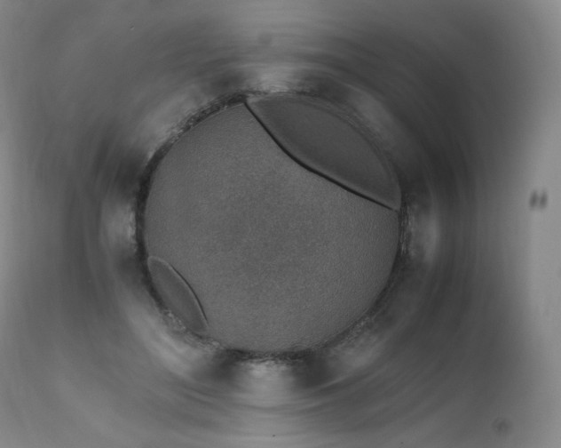 X0000111450500200907131332