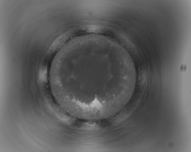 X0000111450502200907131332