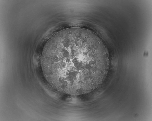 X0000111450503200907131332
