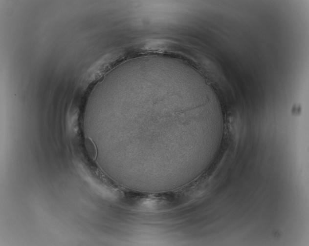X0000111450504200907131332