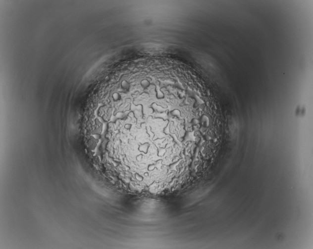 X0000111450507200907131332