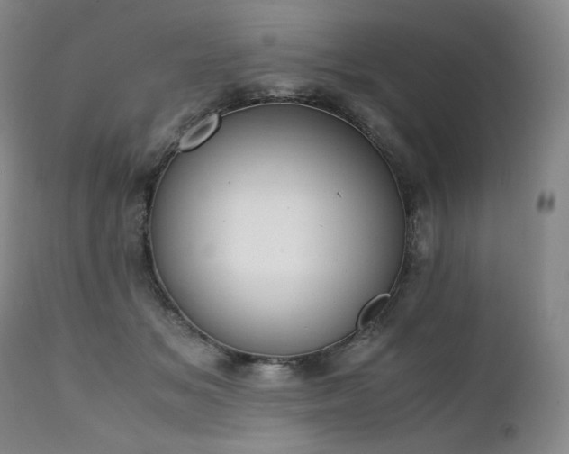 X0000111450509200907131332