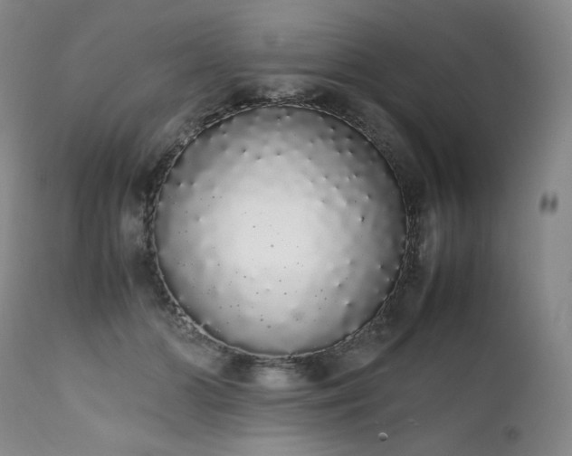X0000111450510200907131332