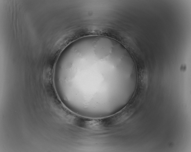 X0000111450511200907131332