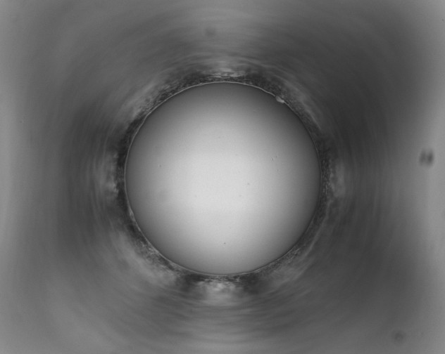 X0000111450512200907131332