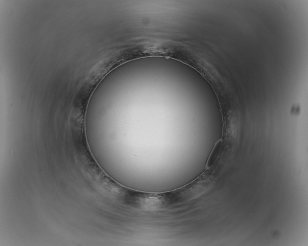 X0000111450513200907131332