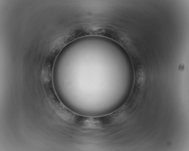 X0000111450515200907131332