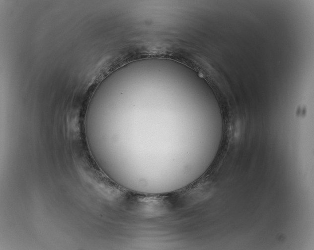 X0000111450516200907131332