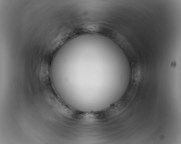 X0000111450518200907131332