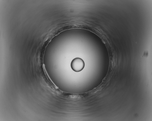 X0000111450520200907131332