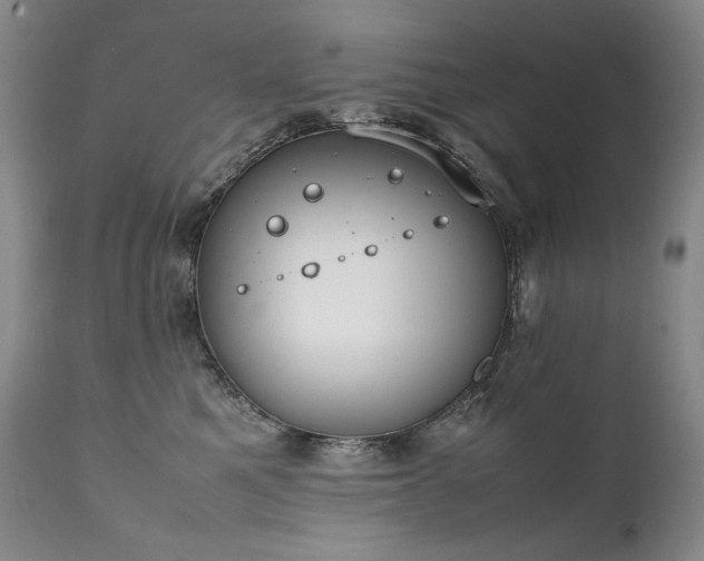X0000111450521200907131332