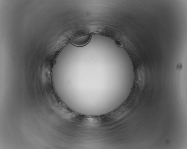 X0000111450522200907131332