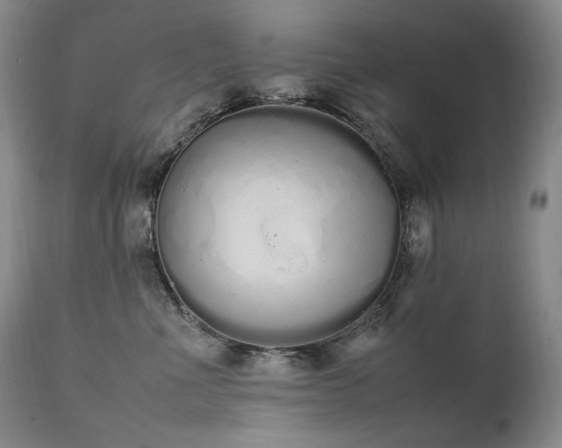 X0000111450523200907131332