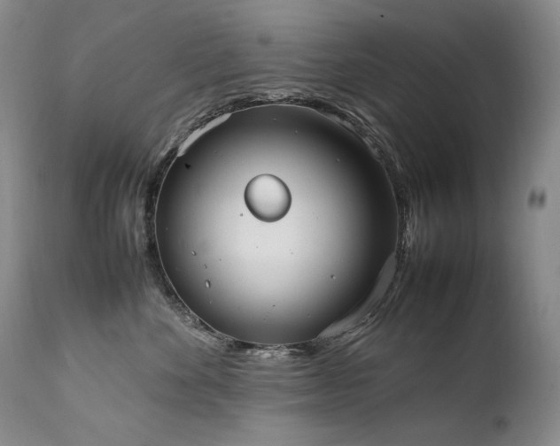 X0000111450524200907131332