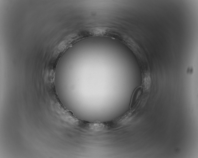 X0000111450525200907131331