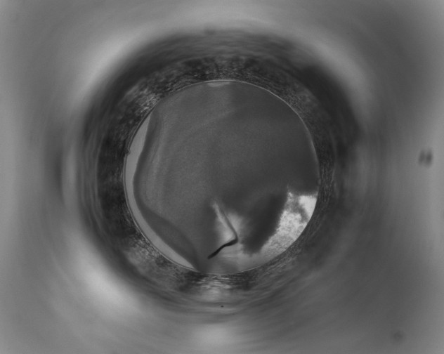 X0000111450526200907131331