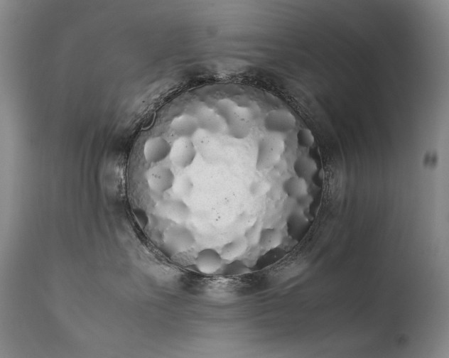 X0000111450527200907131331