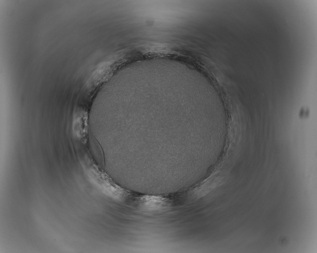 X0000111450528200907131331