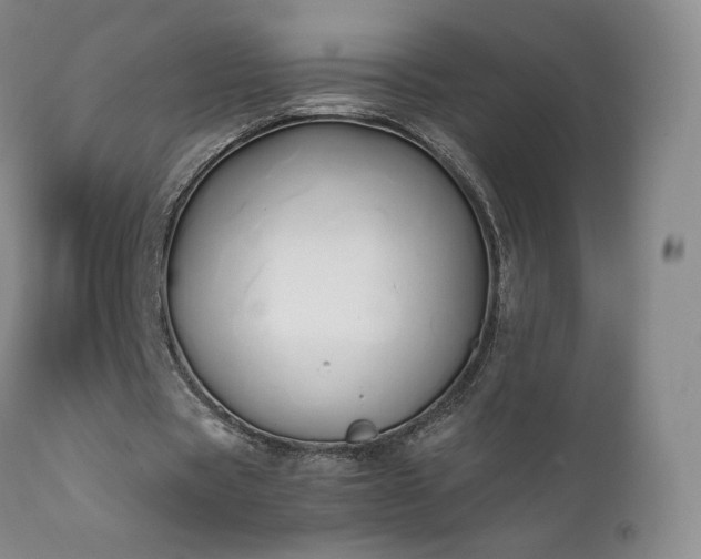X0000111450529200907131331