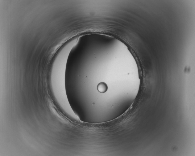 X0000111450530200907131331