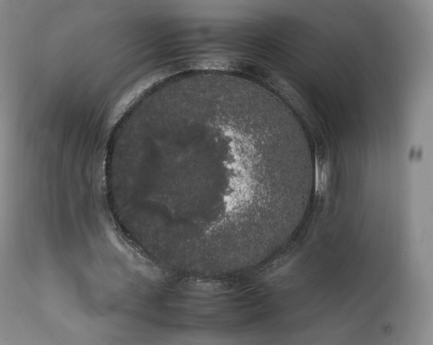 X0000111450531200907131331