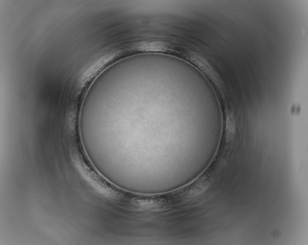 X0000111450533200907131331