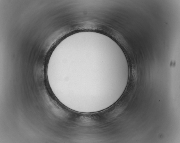 X0000111450534200907131331