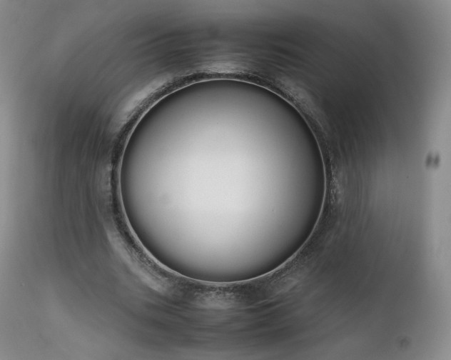 X0000111450535200907131331