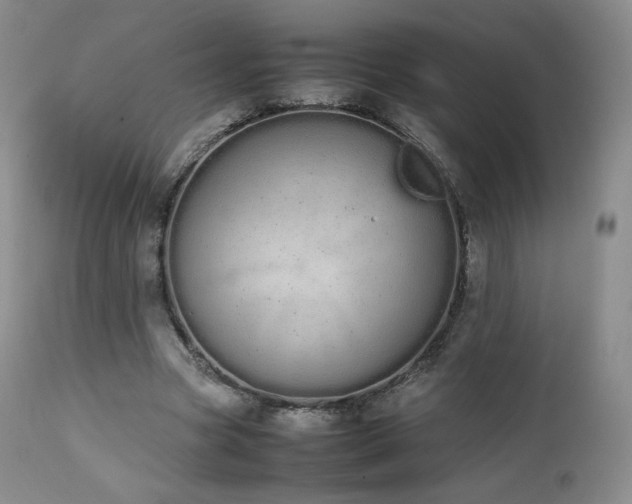 X0000111450537200907131331