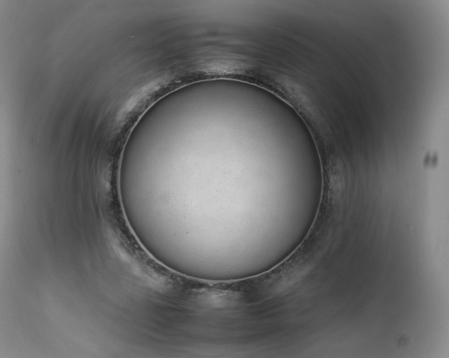X0000111450539200907131331