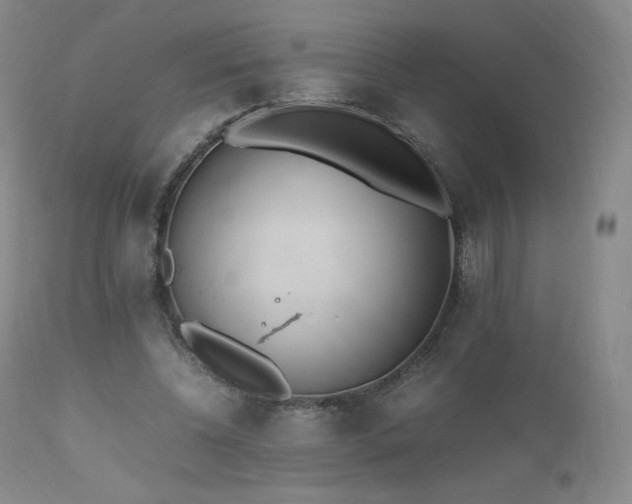 X0000111450540200907131331