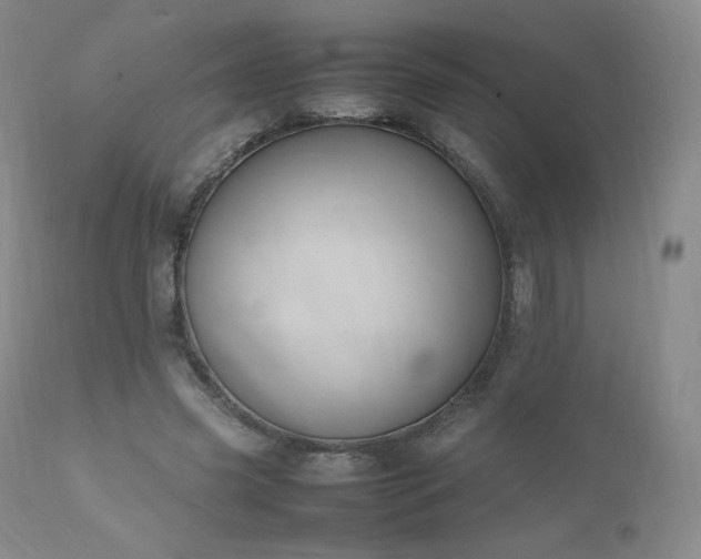 X0000111450541200907131331