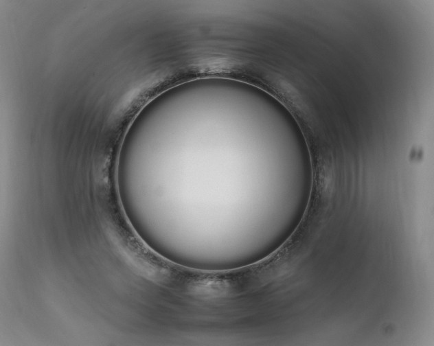 X0000111450543200907131331