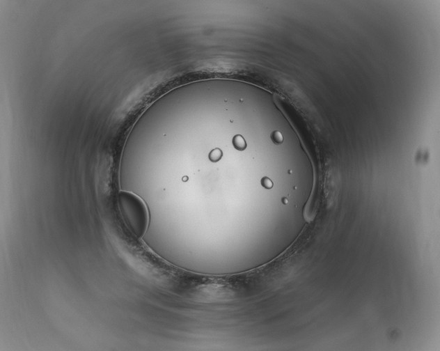 X0000111450544200907131331